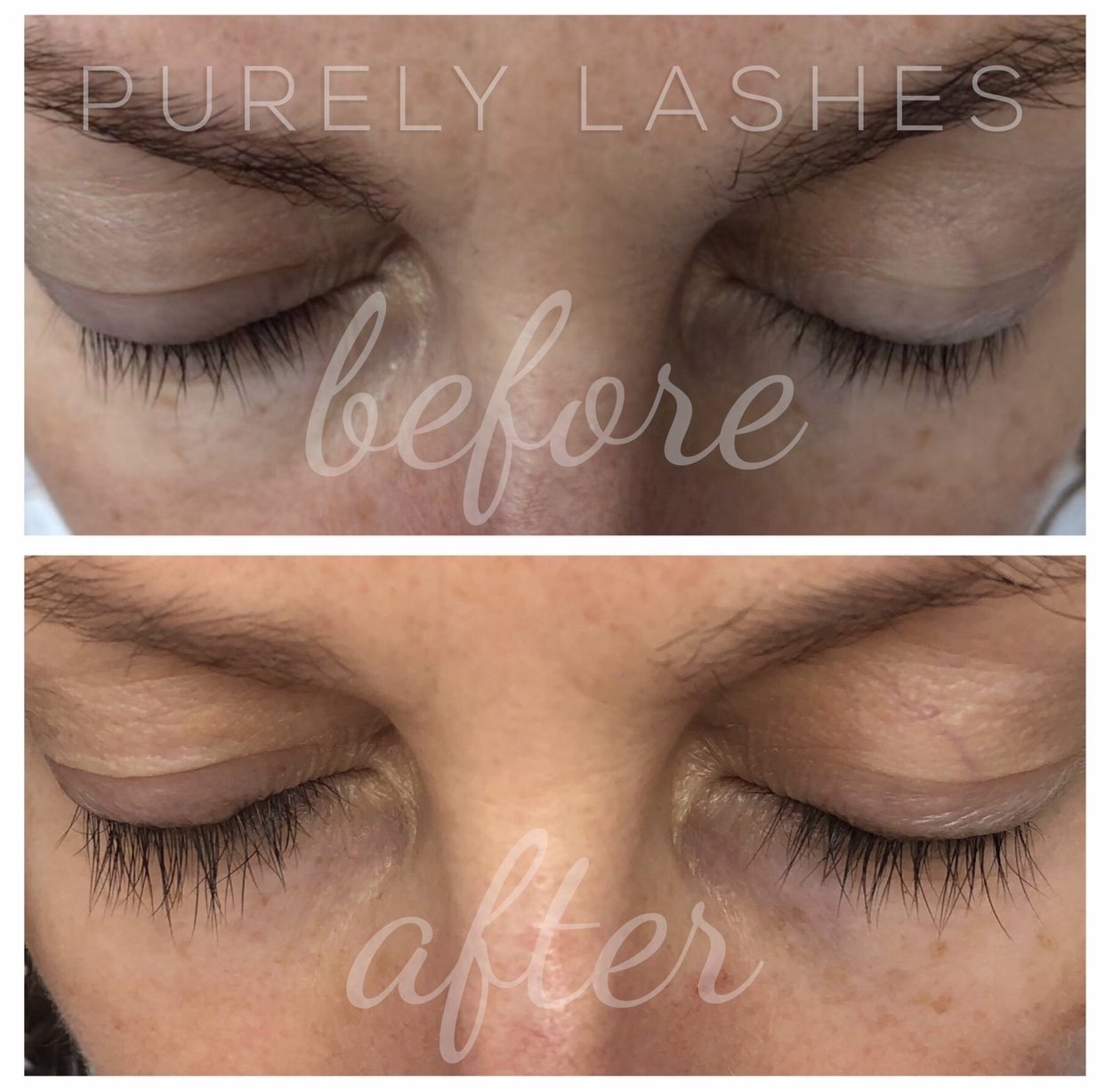 Purely Lashes Lash Growth Serum